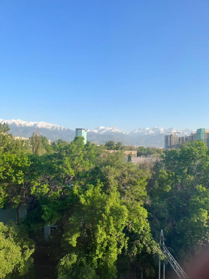Apartment уютная студия с видом на горы Almaty
